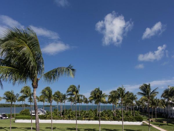 The Florida Keys Condo 963578