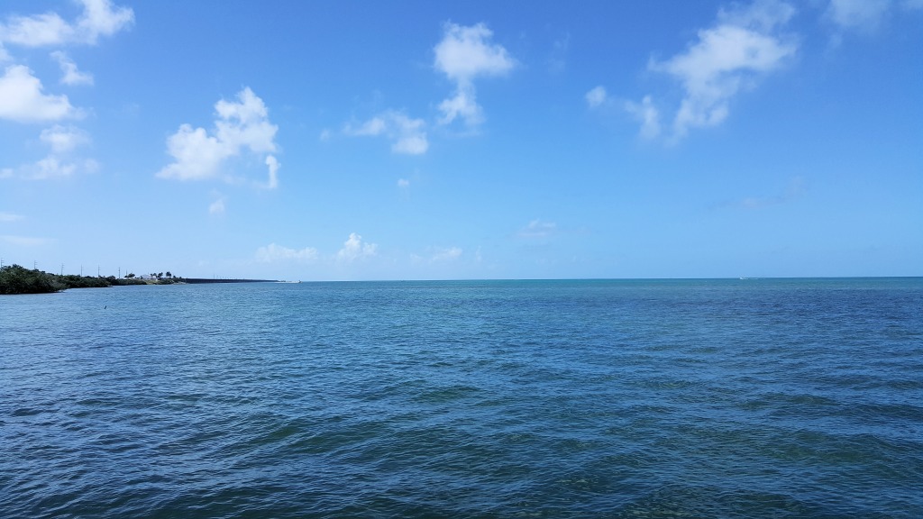 The Florida Keys Condo 963599