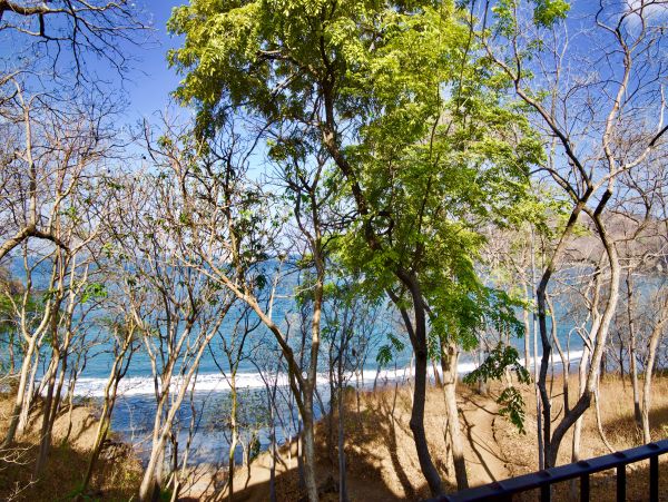 Las Catalinas Condo 963621