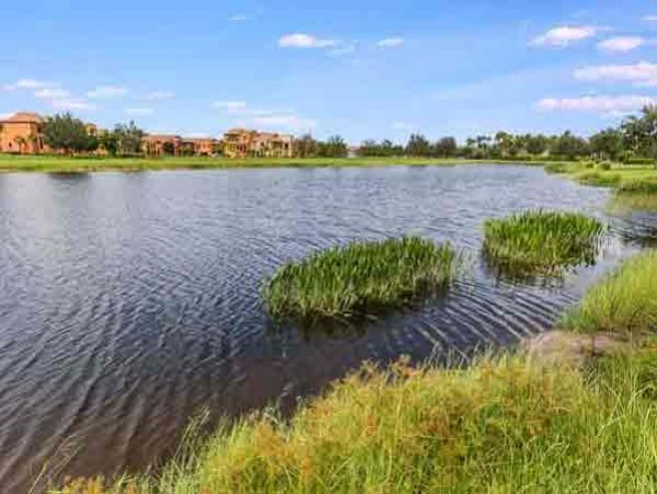 Three Bedroom Home in Fort Myers with Caged Pool & Spa