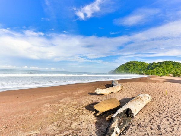 Stunning Six Bedroom Luxury Beach Condo with Ocean Views