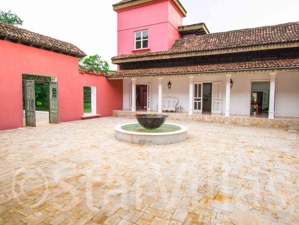Tamarindo Home 963852