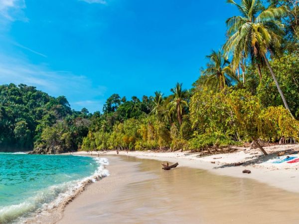 Luxury Five Bedroom Villa in Puntarenas with Ocean View