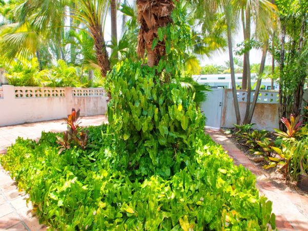 The Florida Keys Home 963874