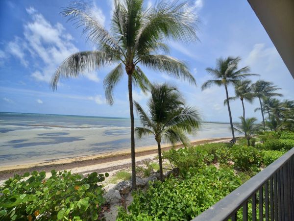 The Florida Keys Condo 963892