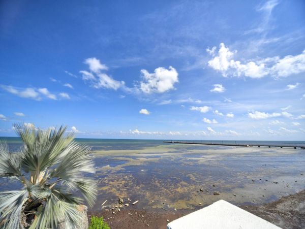 The Florida Keys Condo 963895