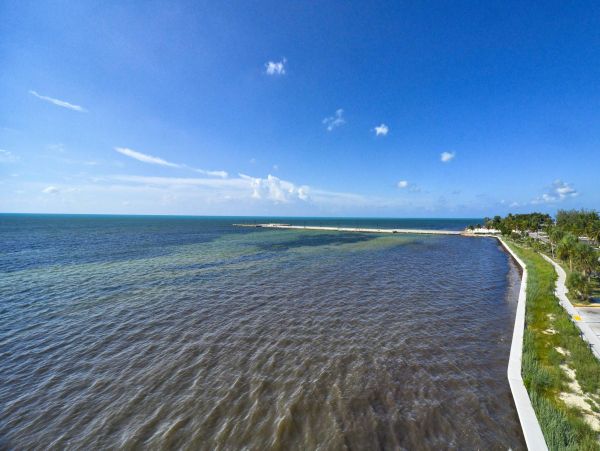 The Florida Keys Condo 963896