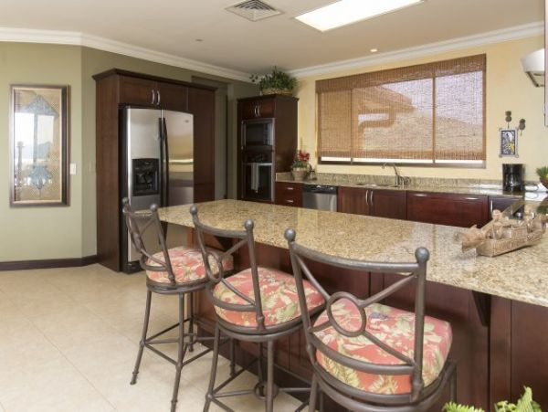 Tamarindo Condo 963930