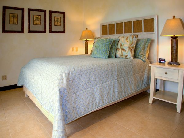 Tamarindo Home 963935