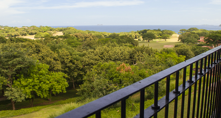 Tamarindo Condo 963937