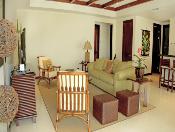 Tamarindo Condo 963938