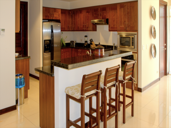 Tamarindo Condo 963938