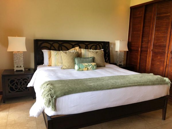 Tamarindo Condo 963940