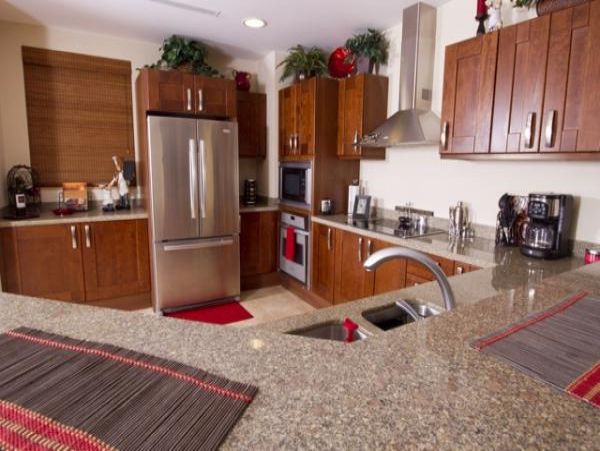 Tamarindo Condo 963941
