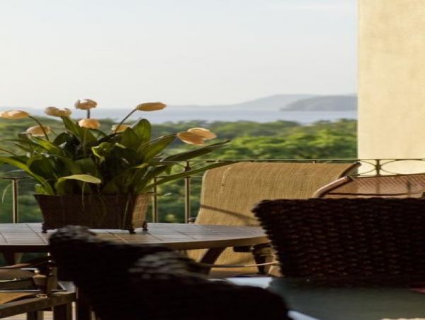 Tamarindo Condo 963941