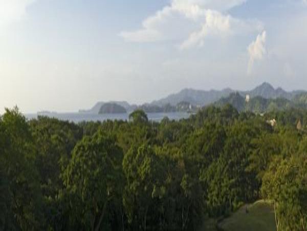 Tamarindo Condo 963941
