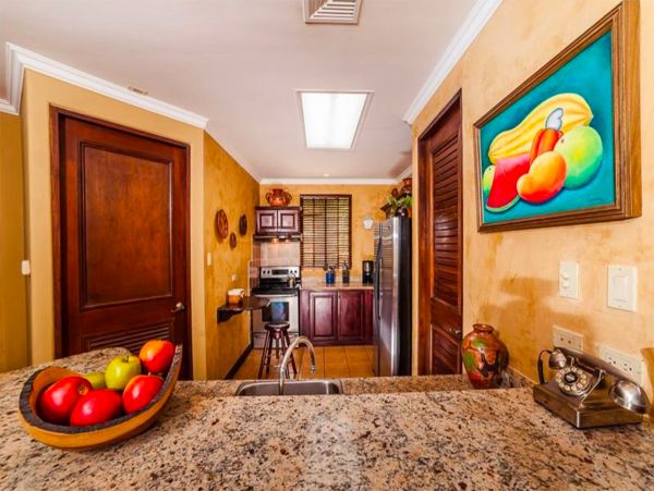 Tamarindo Condo 963943