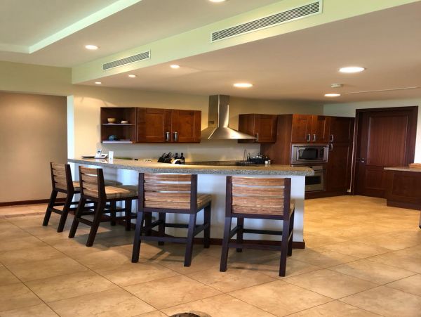 Tamarindo Condo 963948