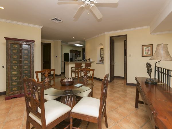 Tamarindo Condo 963949