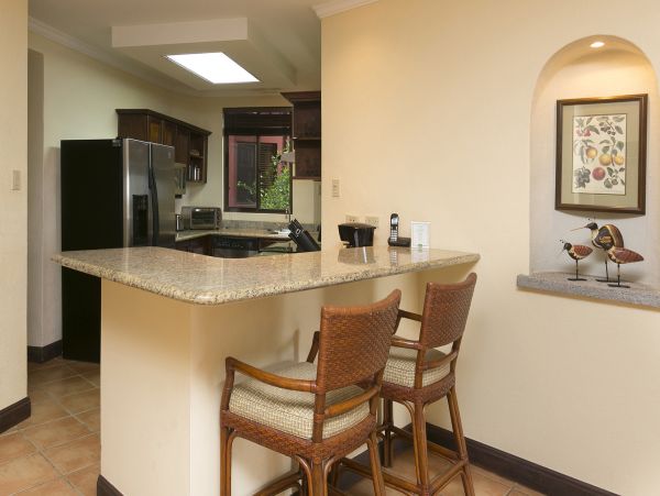 Tamarindo Condo 963949