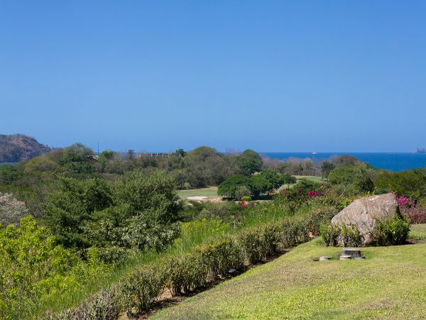 Tamarindo Condo 963952