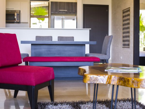 Tamarindo Condo 963954