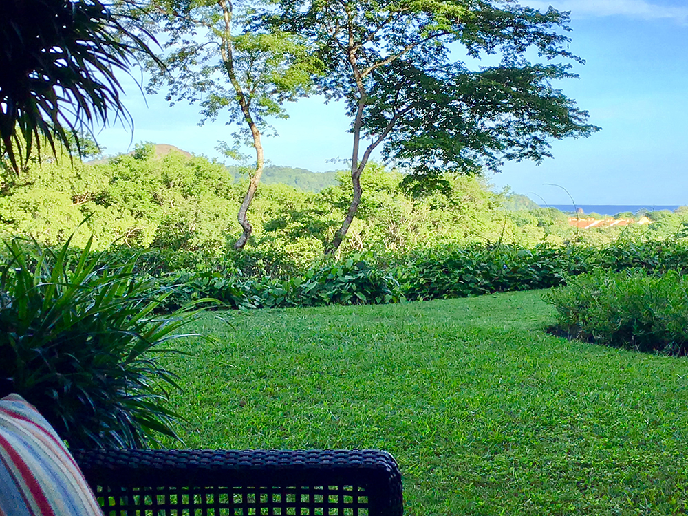 Tamarindo Condo 963955