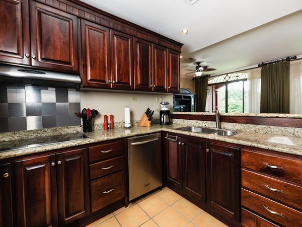 Tamarindo Condo 963955