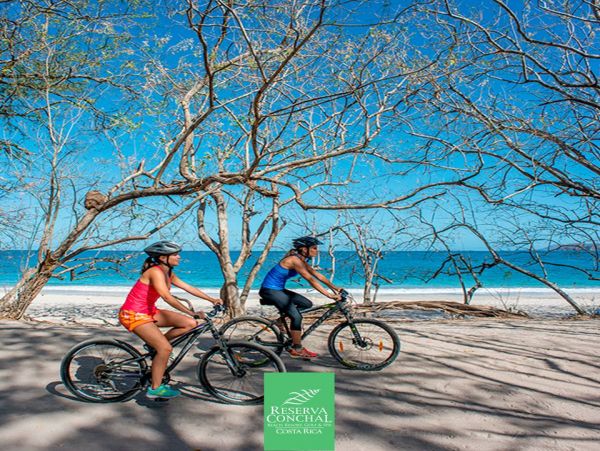 Tamarindo Condo 963955