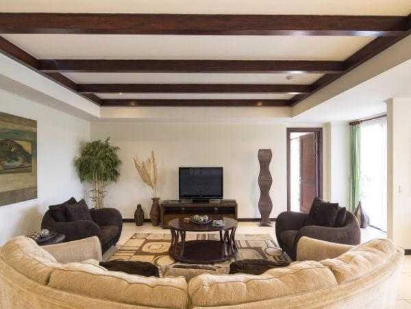 Tamarindo Condo 963957