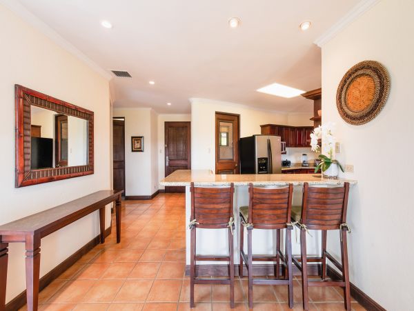 Tamarindo Home 963958