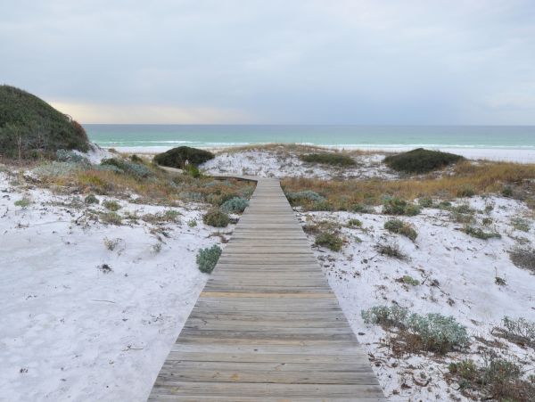 Beaches Of South Walton Condo 963989