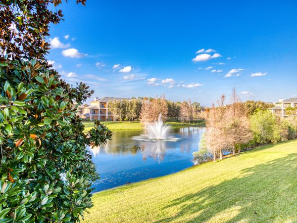 Orlando Condo 964082