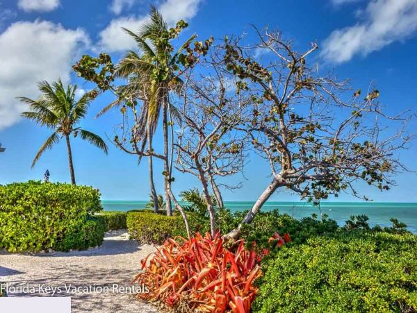 Magnificent Marathon Rental Home