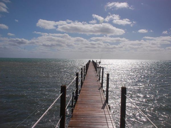 Oceanfront 3 Bedroom Home Beautiful Islamorada Pool & Dock