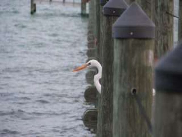 The Florida Keys Home 964251