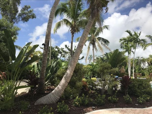 The Florida Keys Home 964257