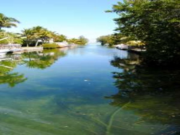 The Florida Keys Home 964258