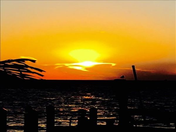The Florida Keys Home 964265
