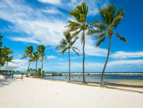 Just Steps to Beach Key Largo Three Bedroom Pool Home