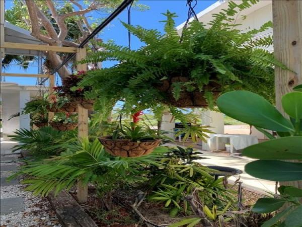 The Florida Keys Home 964277