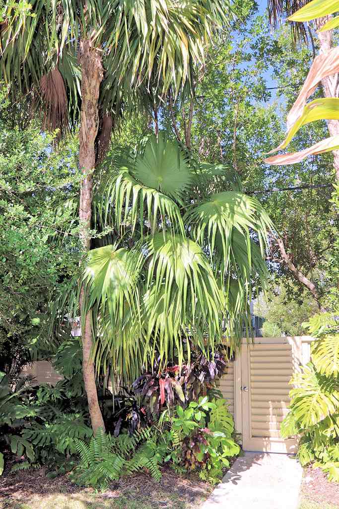 The Florida Keys Home 964282