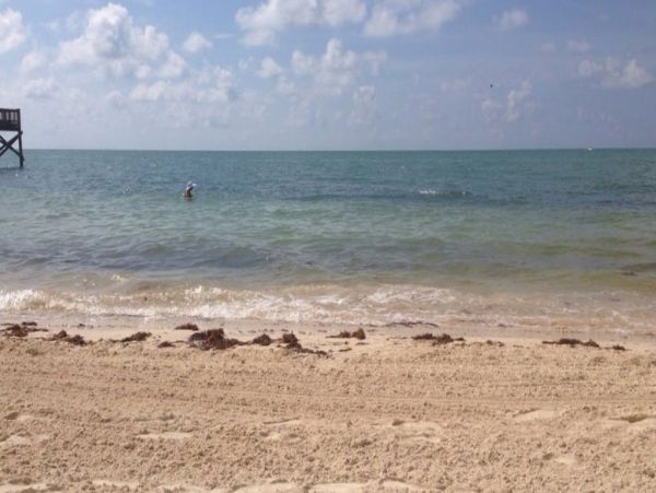 The Florida Keys Condo 964287