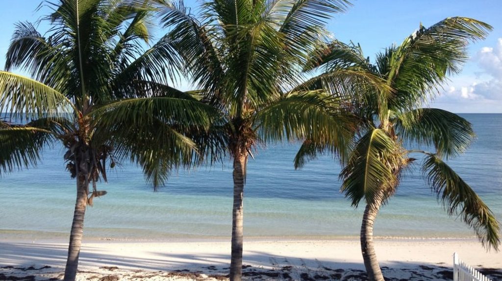 The Florida Keys Condo 964287