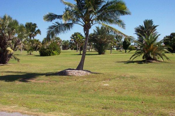The Florida Keys Condo 964287