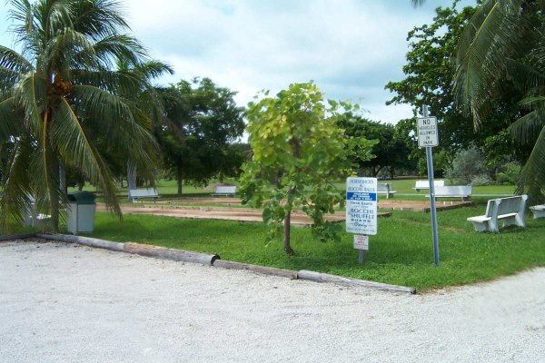 The Florida Keys Condo 964287