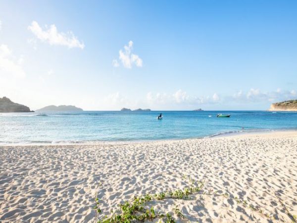 St. Barts Home 964335