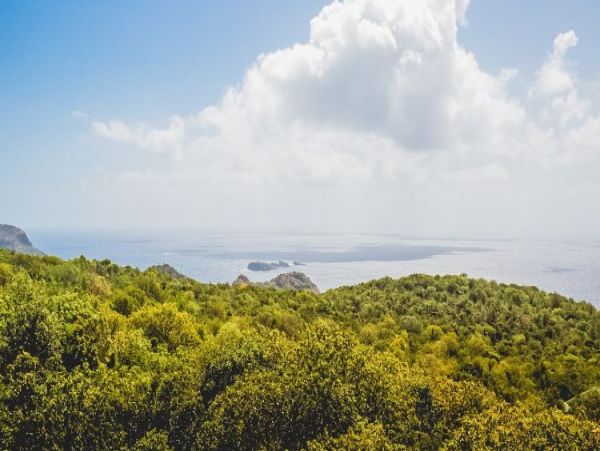 St. Barts Home 964349