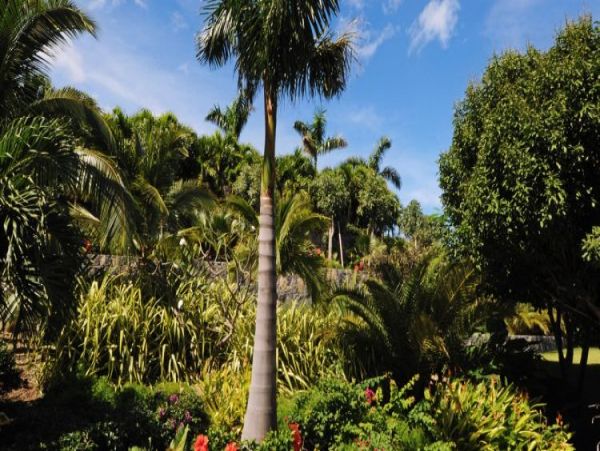 St. Barts Home 964353
