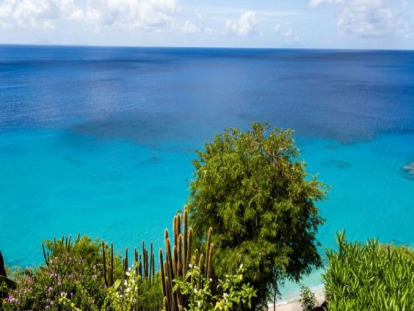 St. Barts Home 964374